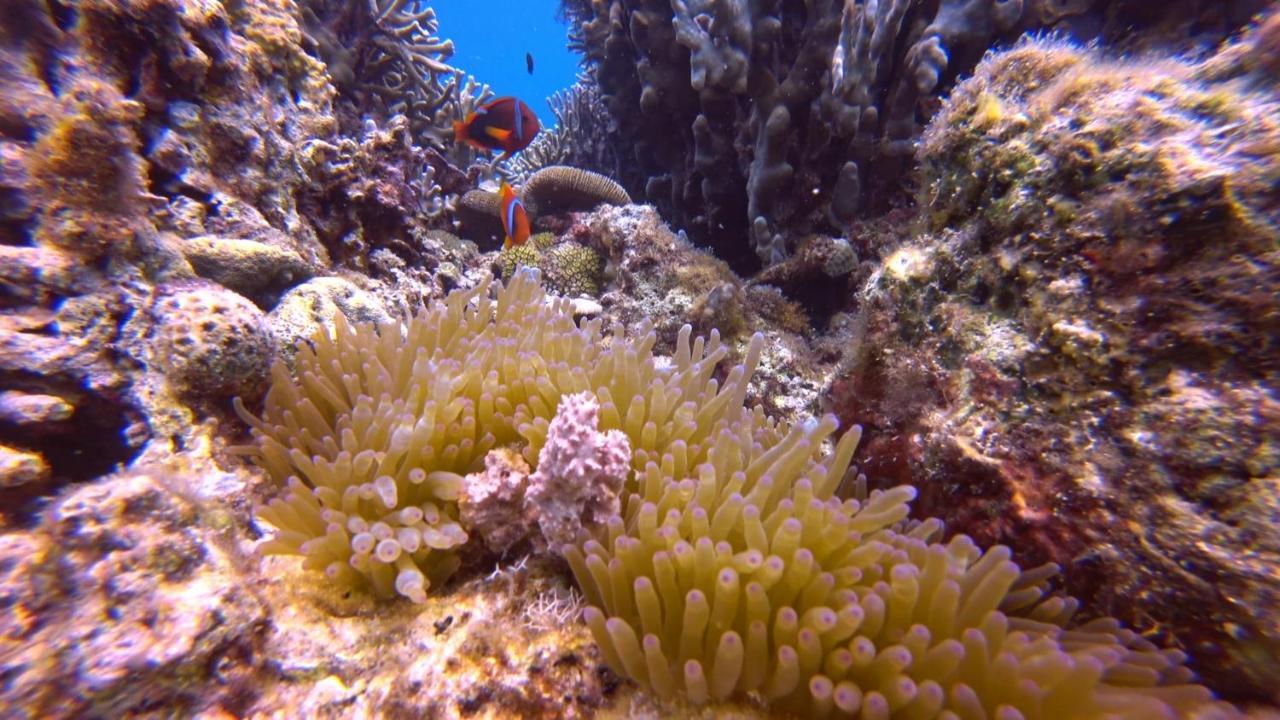 Moalboal T Breeze Coastal Resort Екстериор снимка